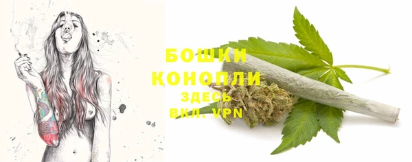 тгк Карпинск