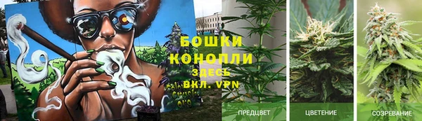 спайс Касимов